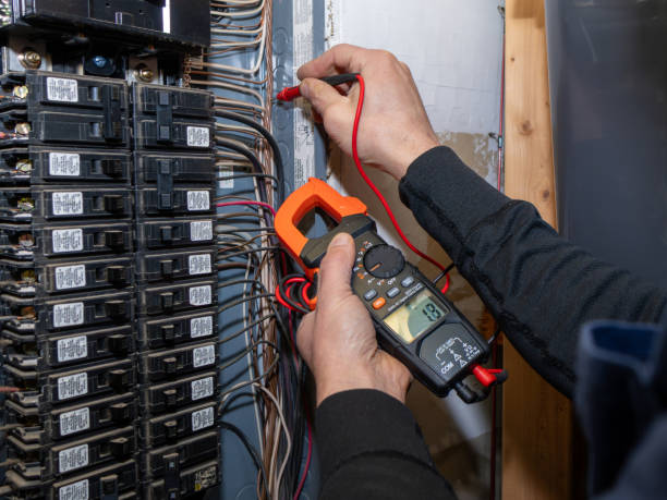 Best Electric Panel Repair  in Winfield, WV
